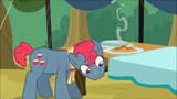 Apple Bottom snoot