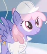 rainbowshineworker
