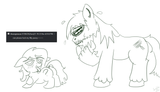 zan filly