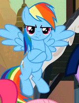 dashie unamused