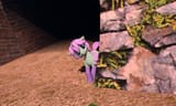 Snapshot_183