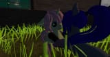 safe mare
