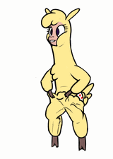 paprika-pants