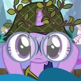 twi nocs