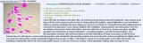 Thread 42342007 OP Image