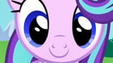 glimmer closeup