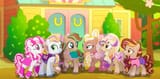 Wild ponie