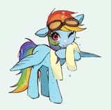 3638611