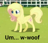Flutterdog