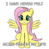 3540483__safe_artist-colon-anonymousandrei_derpibooru+exclusive_fluttershy_pegasus_pony_g4_animated_caption_comic+sans_dissonant+caption_female_frame+by+frame_g