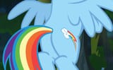 dashie has a hyuge butt