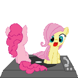 youspinmerightround