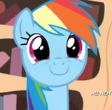 happy dash