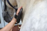 Groomingmud
