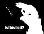 bait is this 91a