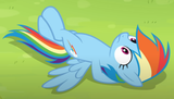 lounging dash