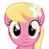 lilystare