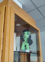 IMG_20250712_115102_1