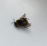 IMG_20250712_133552_1