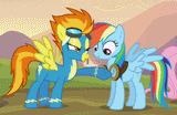 Spitfire Dash Goggles
