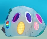 Trilobites