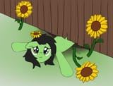 imagdfsdfe (1)