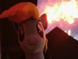 dashie watches the summer fireworks