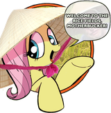 1401046__safe_edit_idw_fluttershy_friendship+is+magic+3_g4_my+little+pony-colon-+friendship+is+magic+idw_asian+conical+hat_bad+advice+fluttershy_crossing+the+me