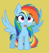 dash