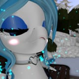 asdsafsdfs_031