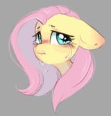Thread 42352552 OP Image