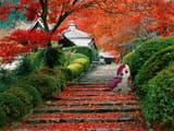 2223540__safe_artist-colon-ocarina0ftimelord_banned+from+derpibooru_deleted+from+derpibooru_derpibooru+import_roseluck_pony_autumn_building_irl_japan_k