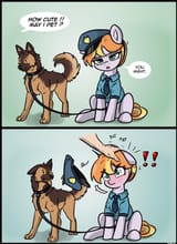 unexpected assault of a ponice officer