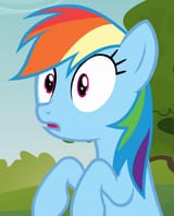 Dash Surprise