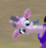 Screenshot (177)_440