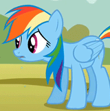 Dash-Sweating2