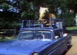 butterscotch driving car
