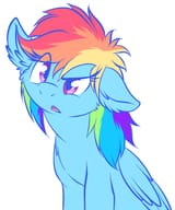 Dash confused horse