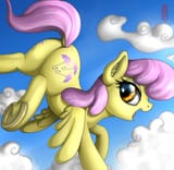 parasol butt