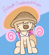 psilocybe ovoideocystidiata 7