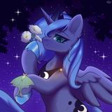 night pony night stuff