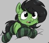 2914674