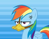 Dash Duck