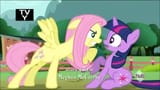 leave twilight alone sluttershy