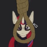 3555409