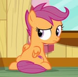 scootabackside