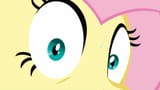 flutters closeup