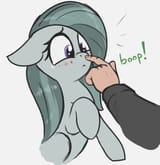BOOP