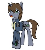 stallion pip