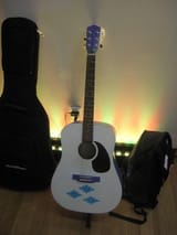 454525__safe_rarity_photo_irl_cutie+mark_musical+instrument_custom_guitar_artist-colon-nightswind